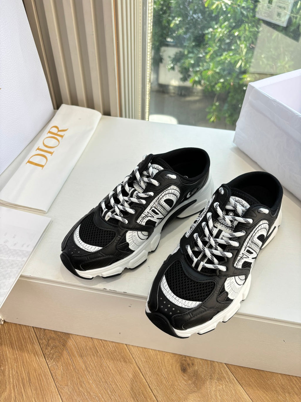 Dior Sneaker