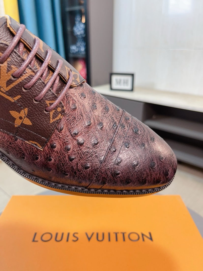 Louis Vuitton Shoes