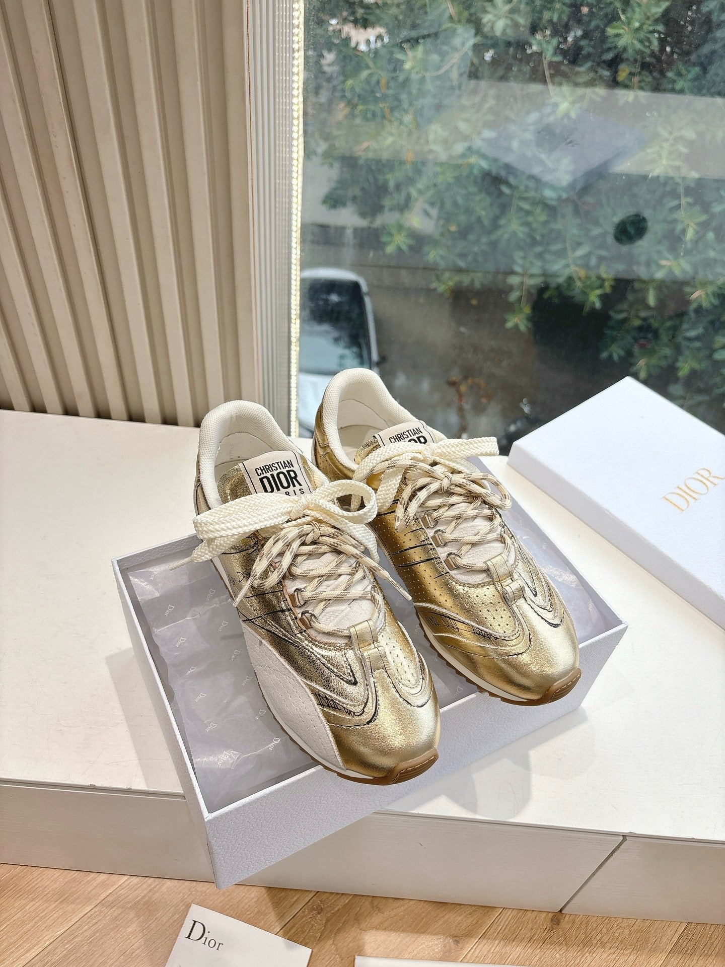 Dior Sneaker