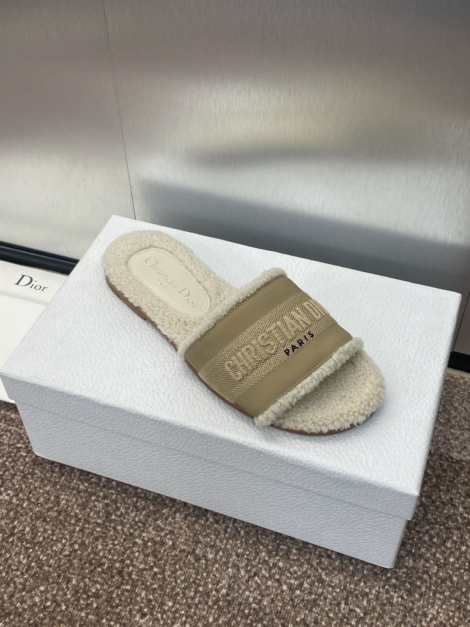 Christian Dior Slipper