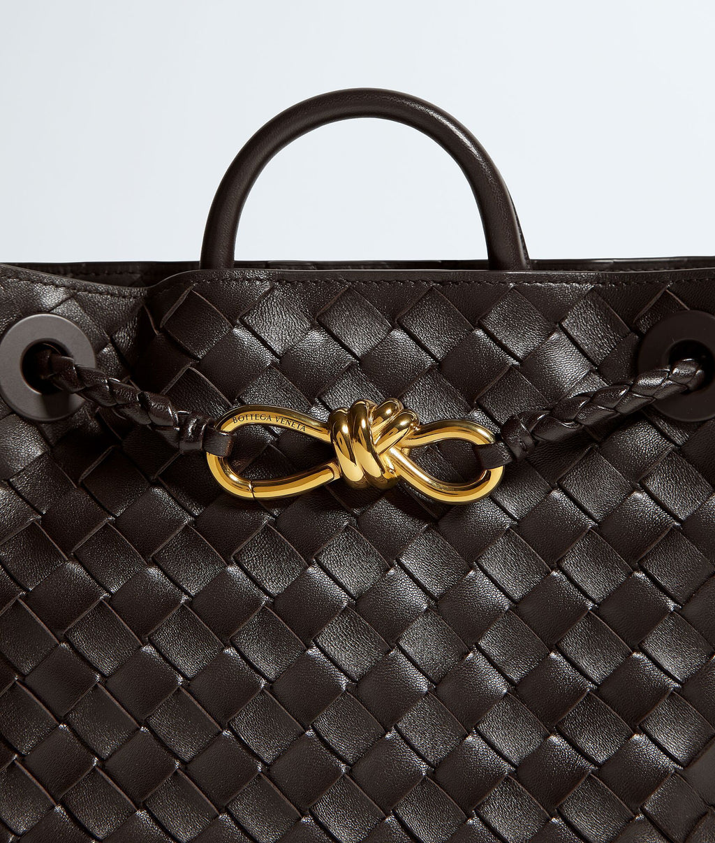 Bottega Veneta Andiamo Small