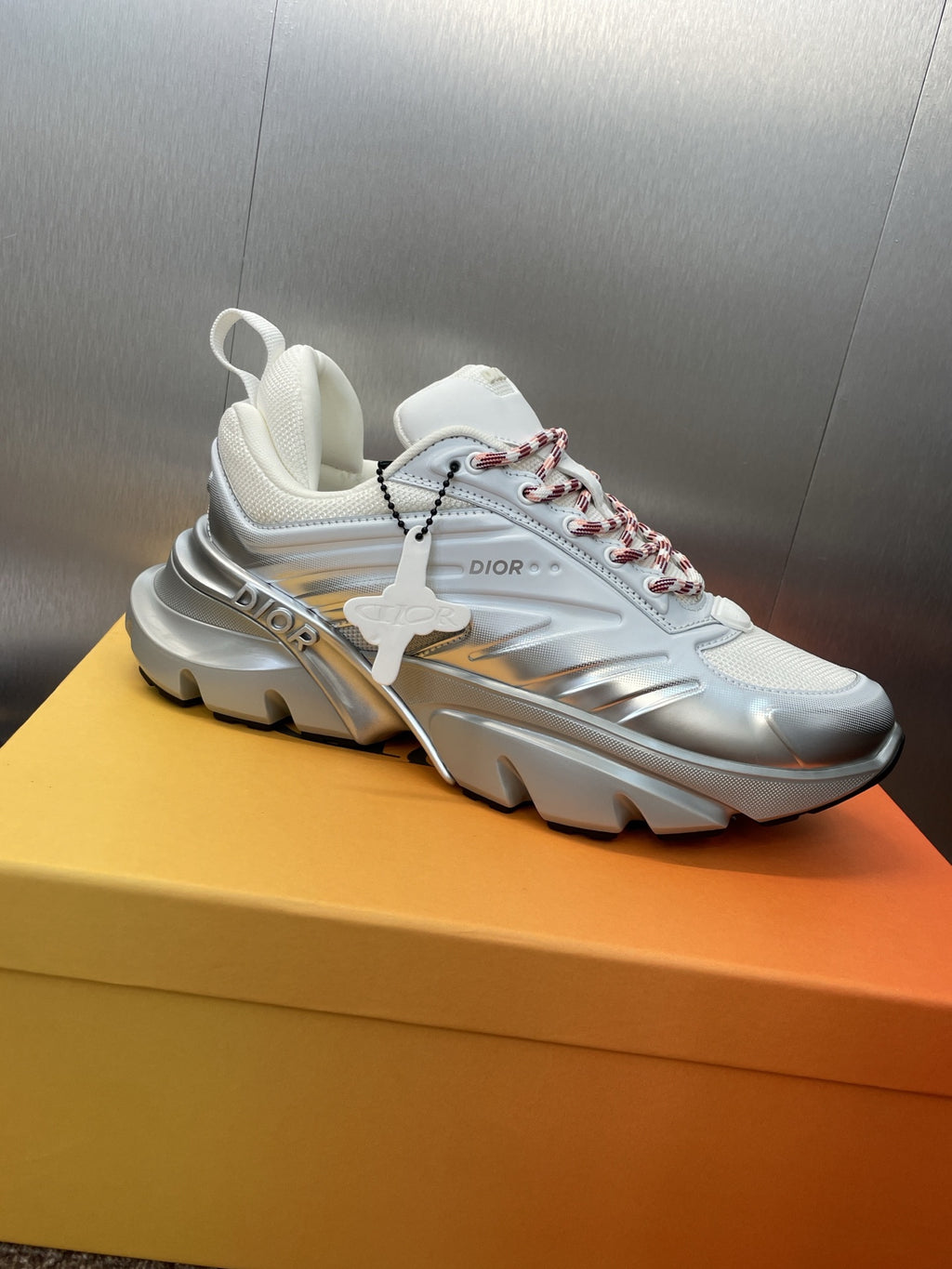 Dior Sneaker Erkek Özel Seri