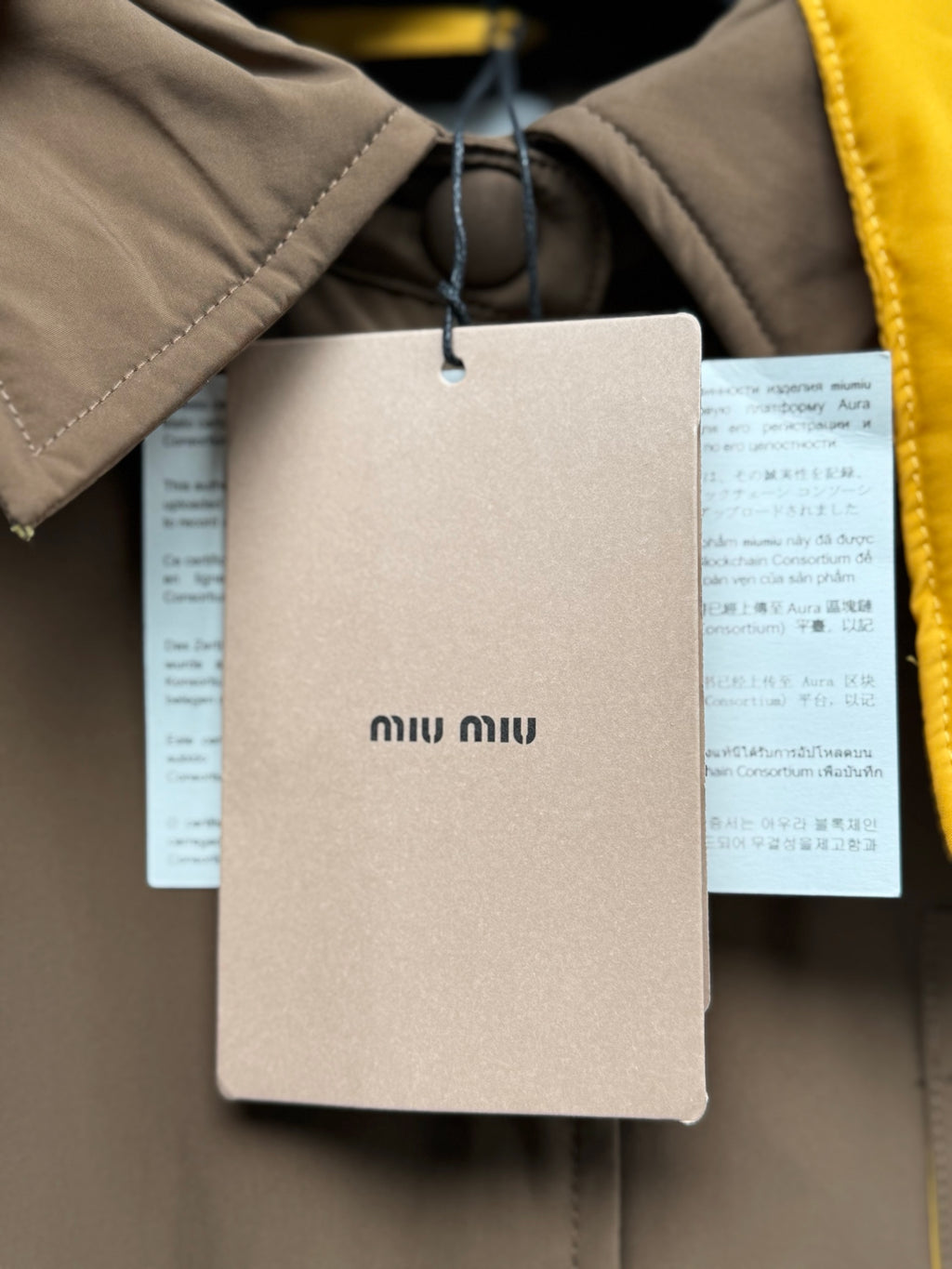 Miu miu Mont