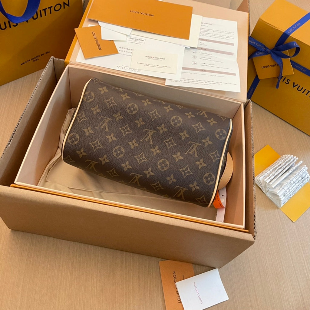 Louis Vuitton Bag