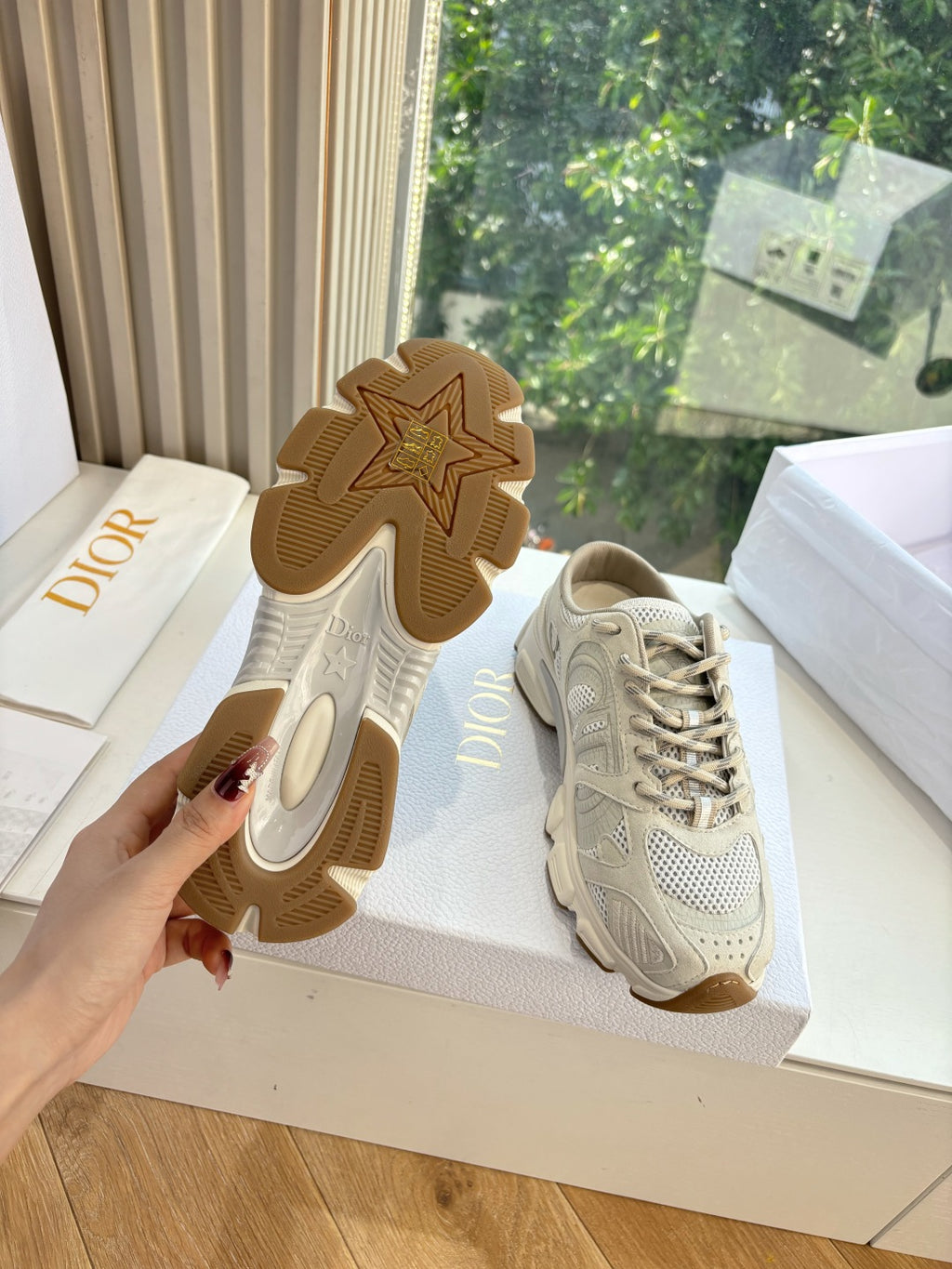 Dior Sneaker
