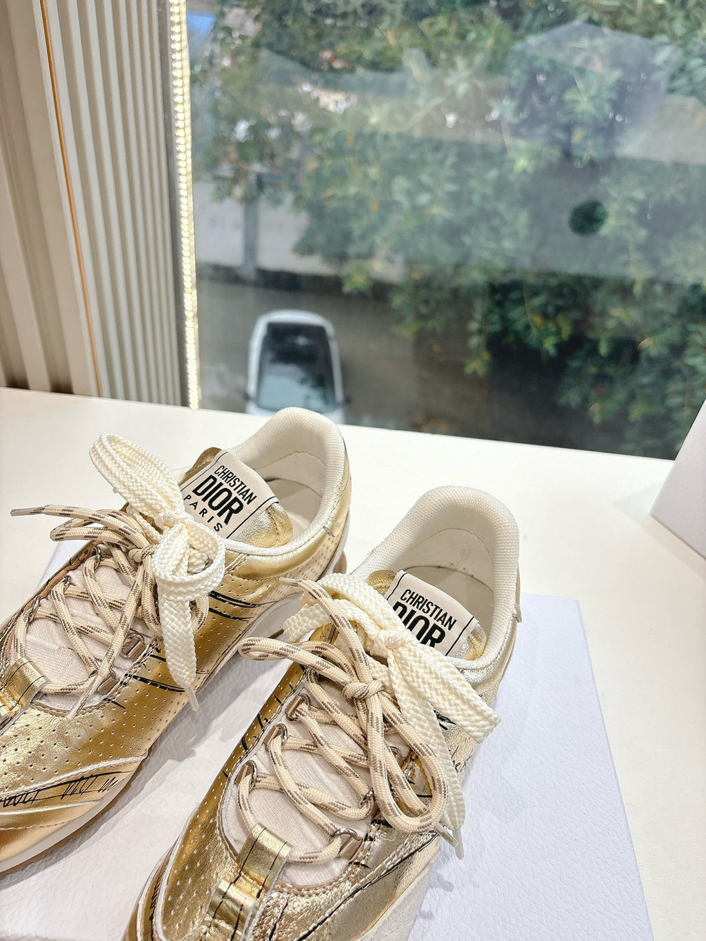 Dior Sneaker