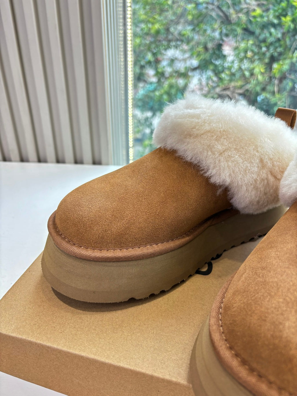 Ugg Boat