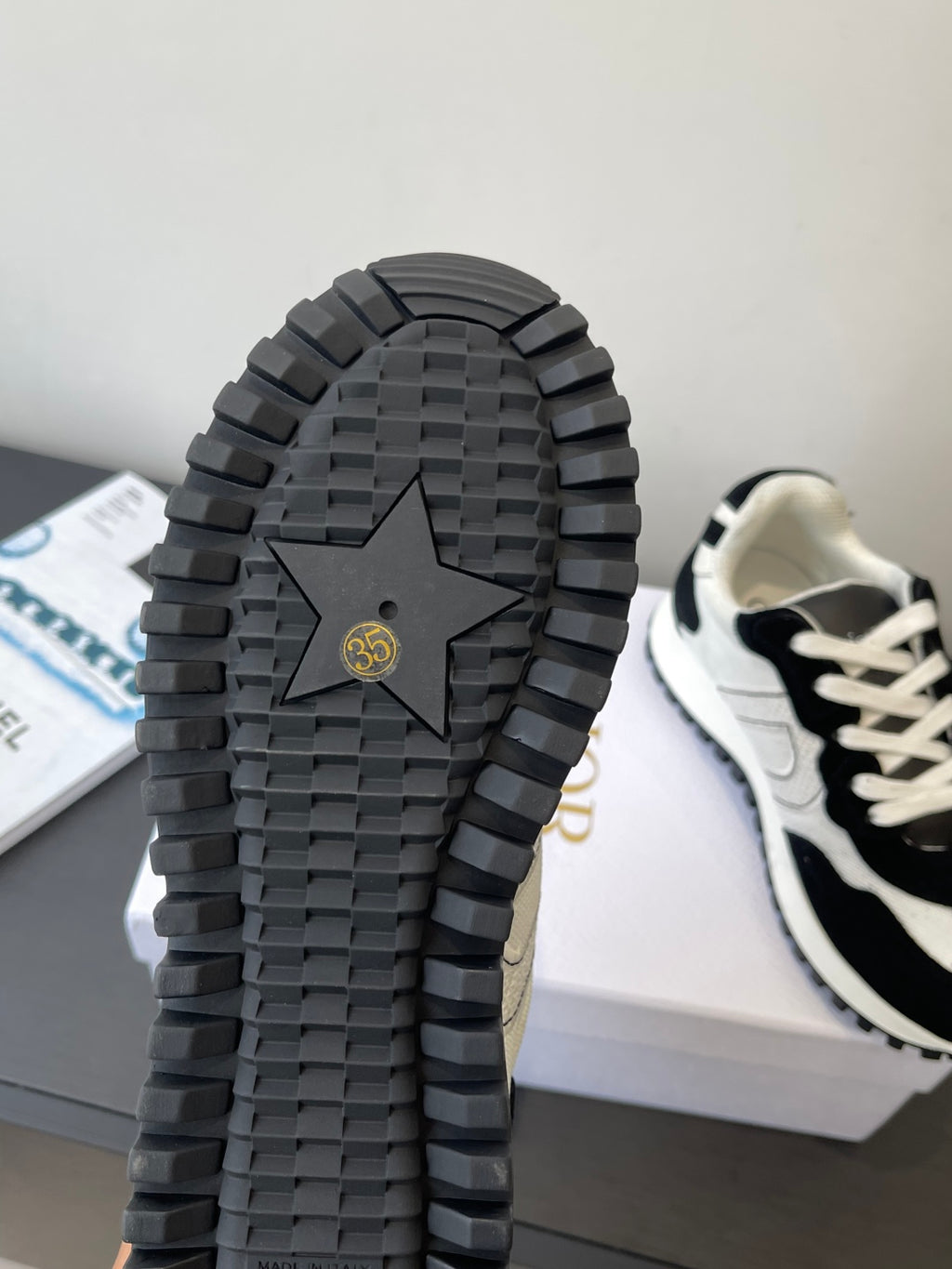 Dior Sneaker