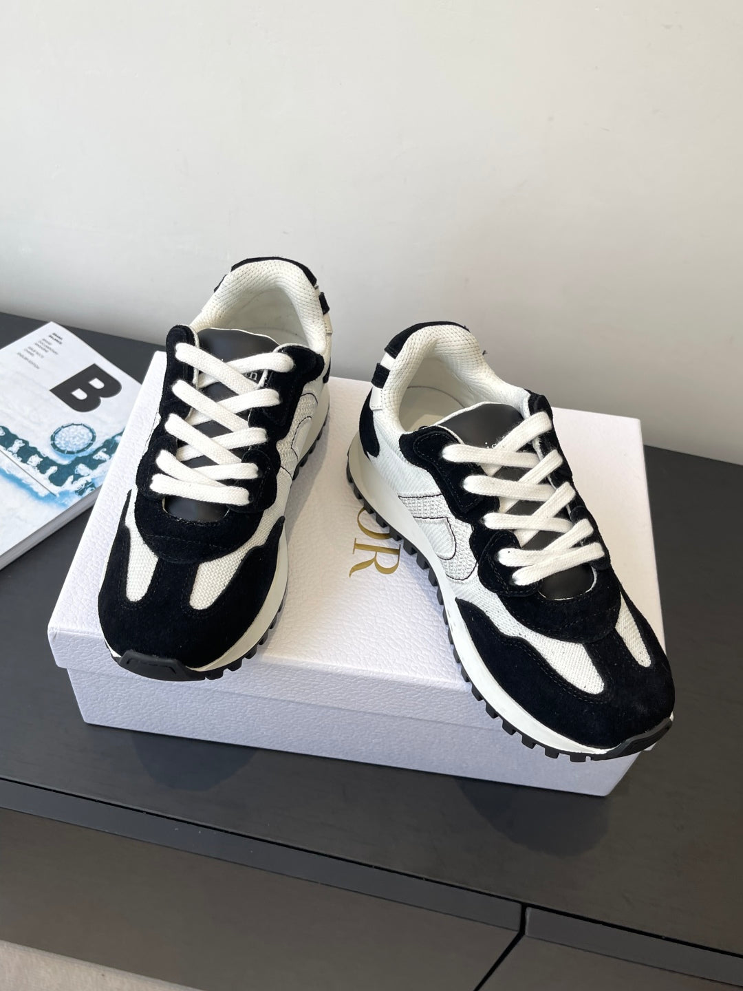 Dior Sneaker