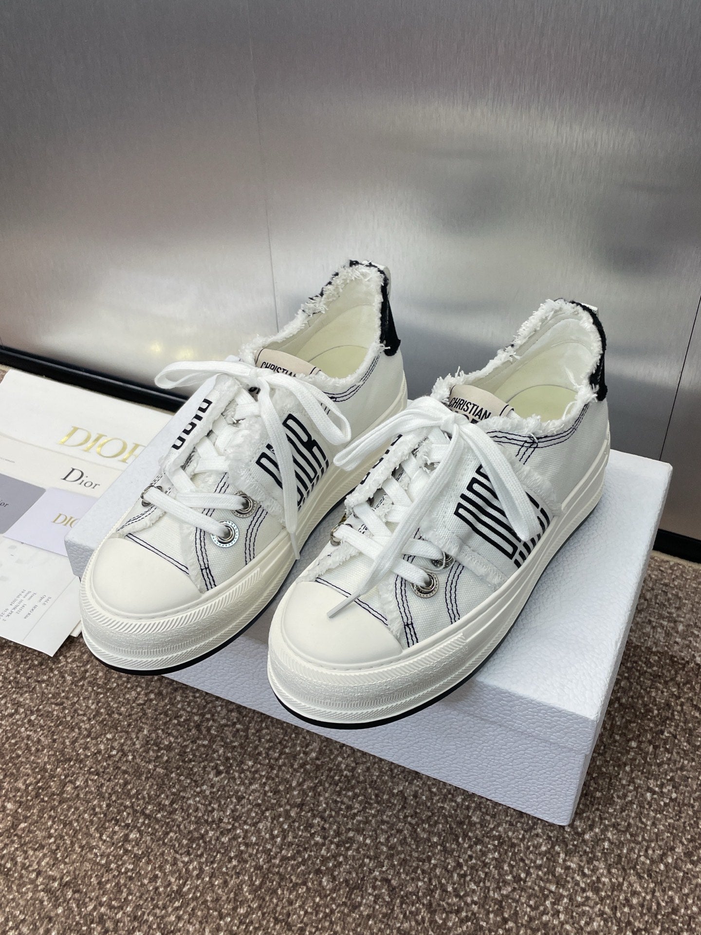 Dior Sneaker