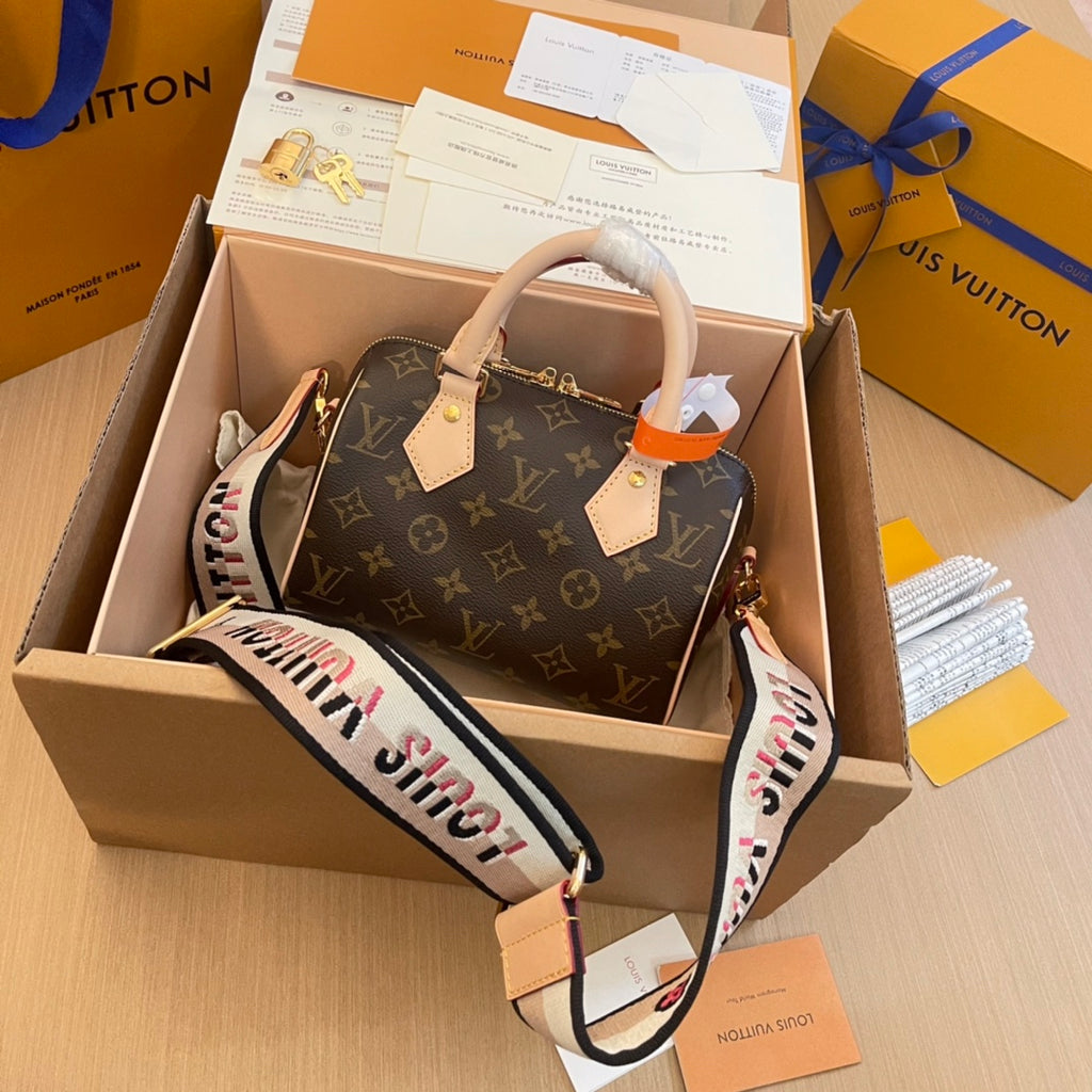 Louis Vuitton Bag