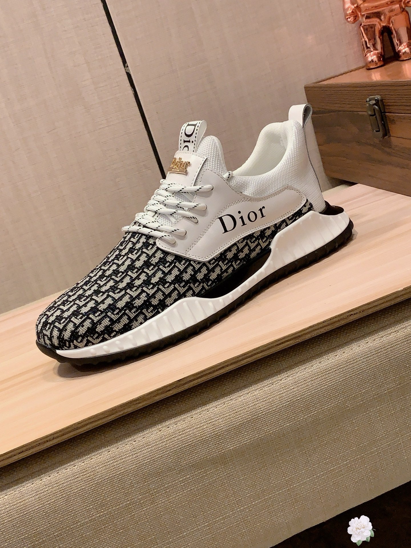 Dior Sneaker