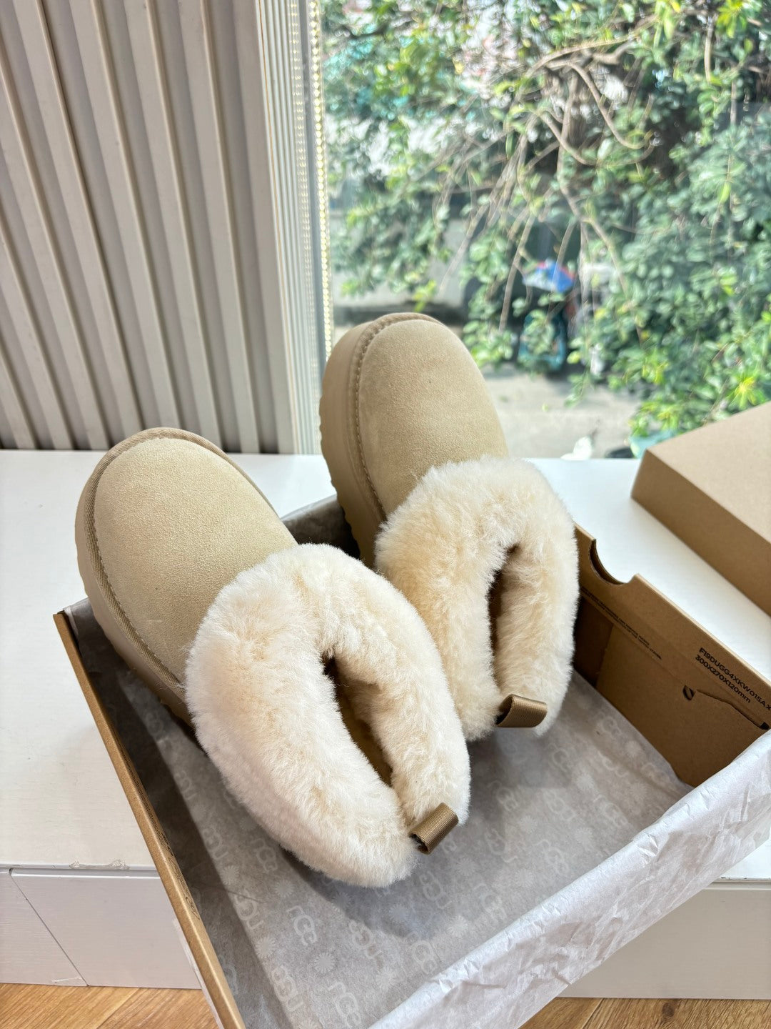 Ugg Boat