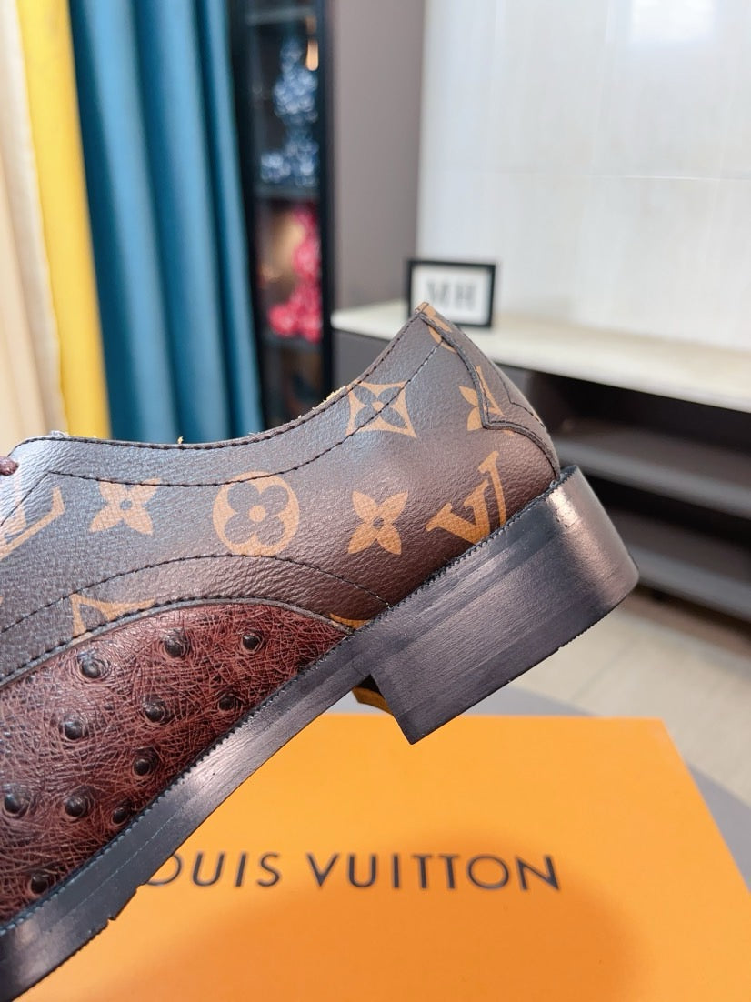 Louis Vuitton Shoes