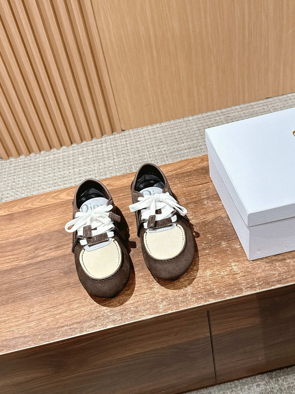 Dior Sneaker