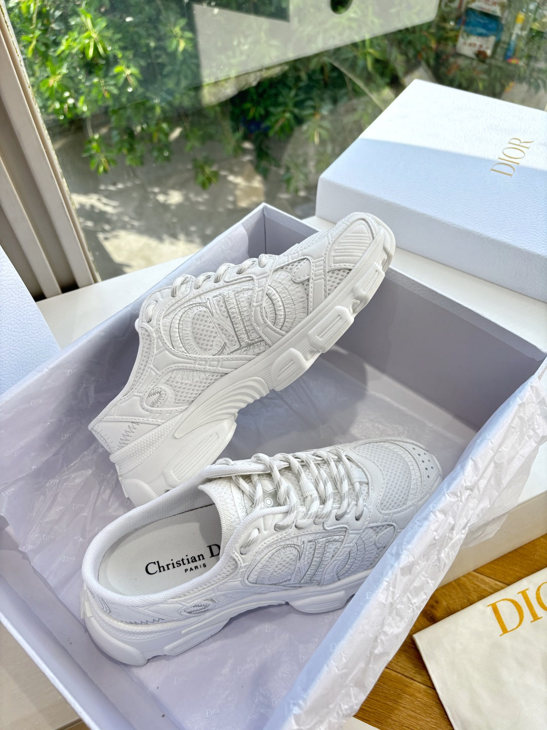 Dior Sneaker