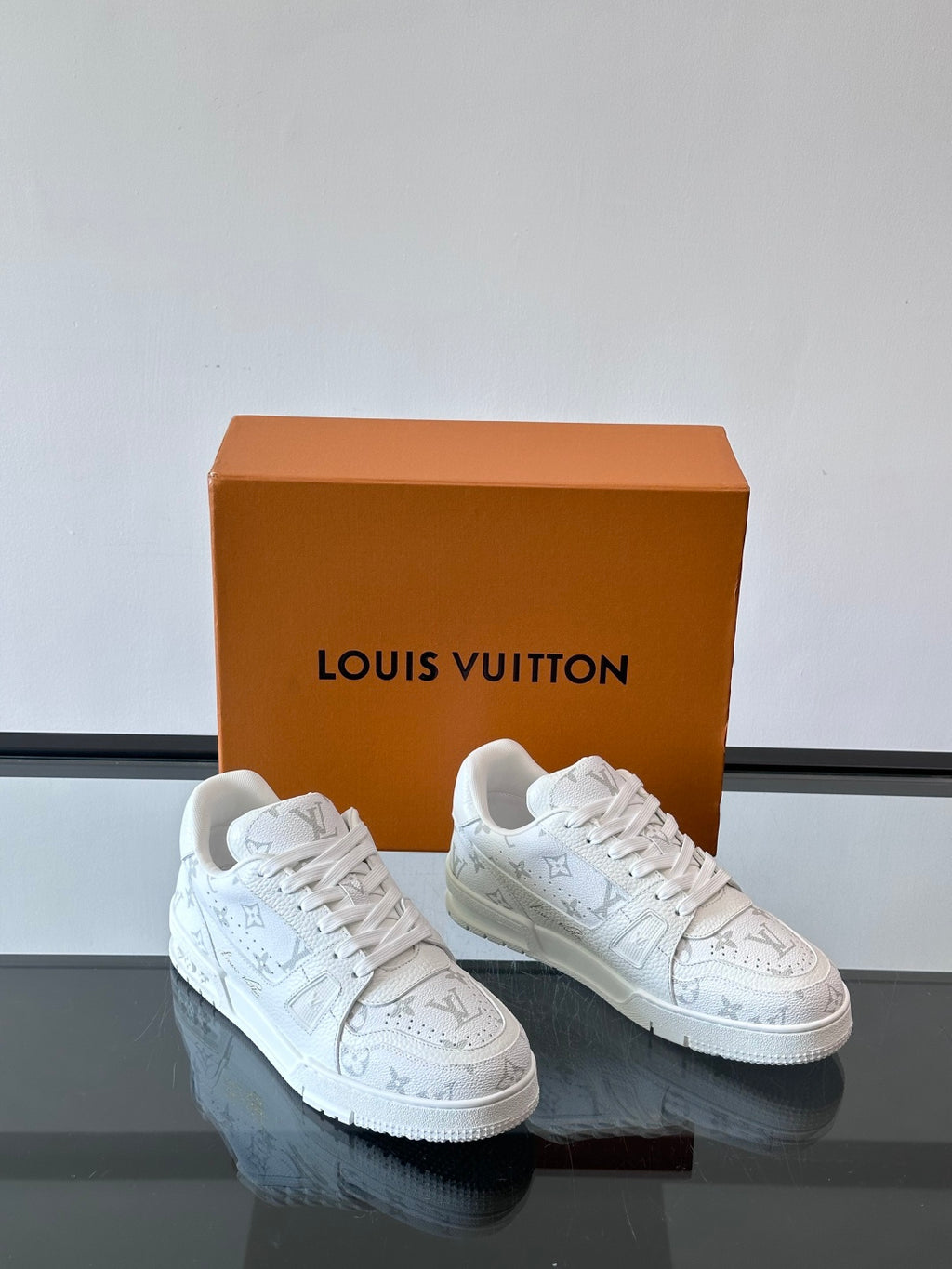 Louis Vuitton Sneaker