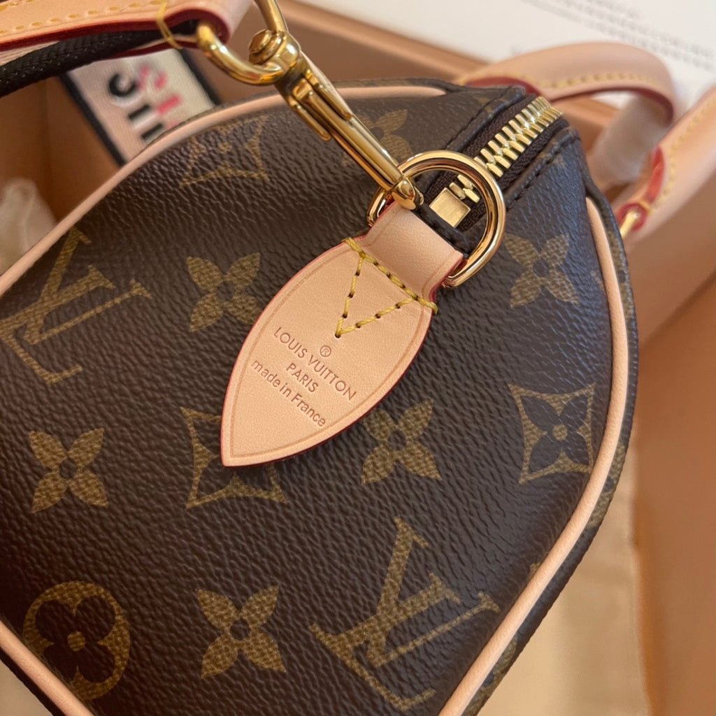 Louis Vuitton Bag