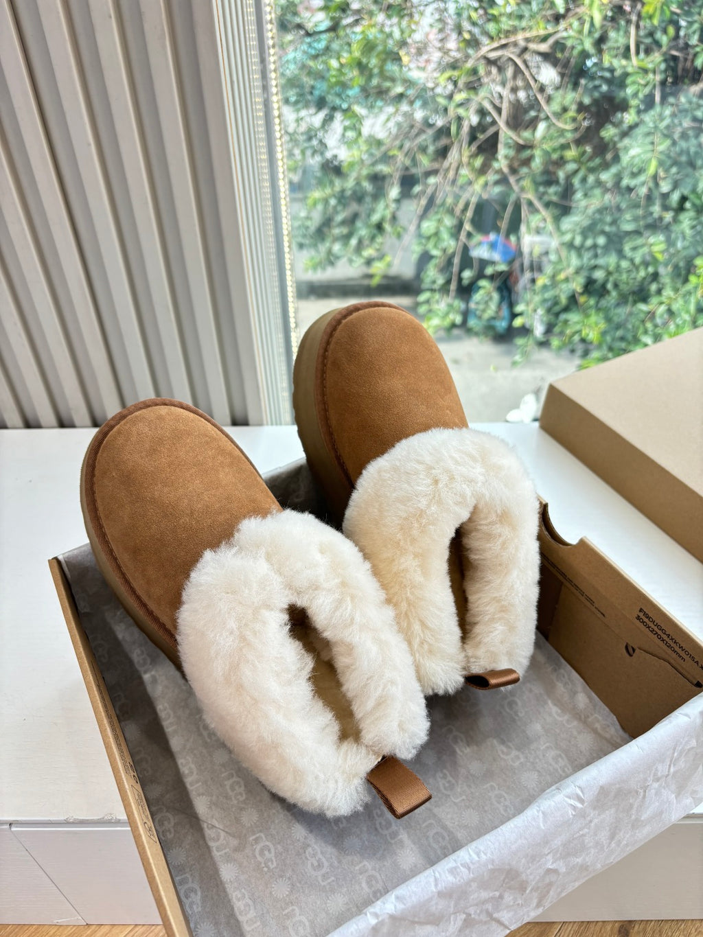 Ugg Boat