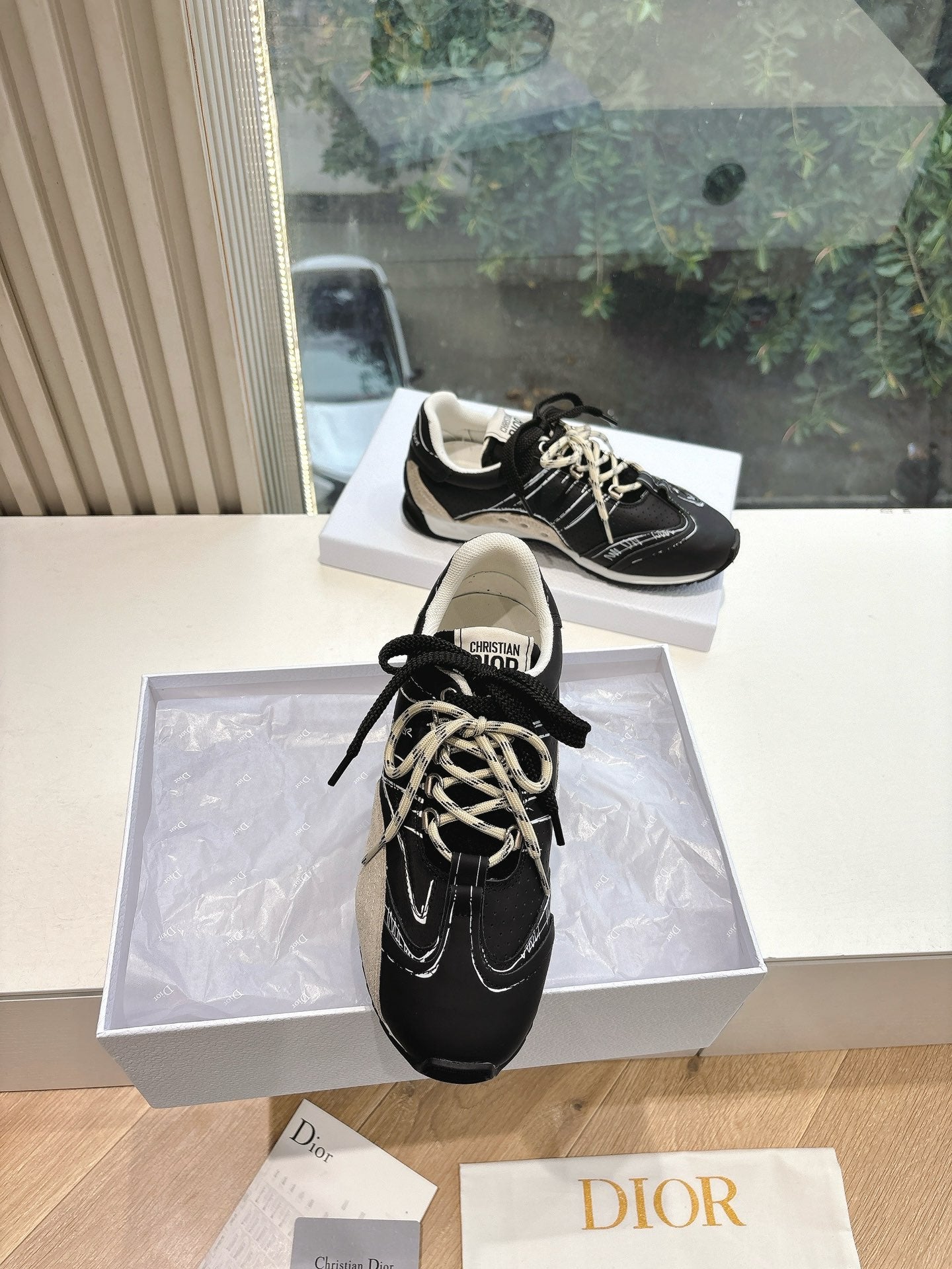 Dior Sneaker