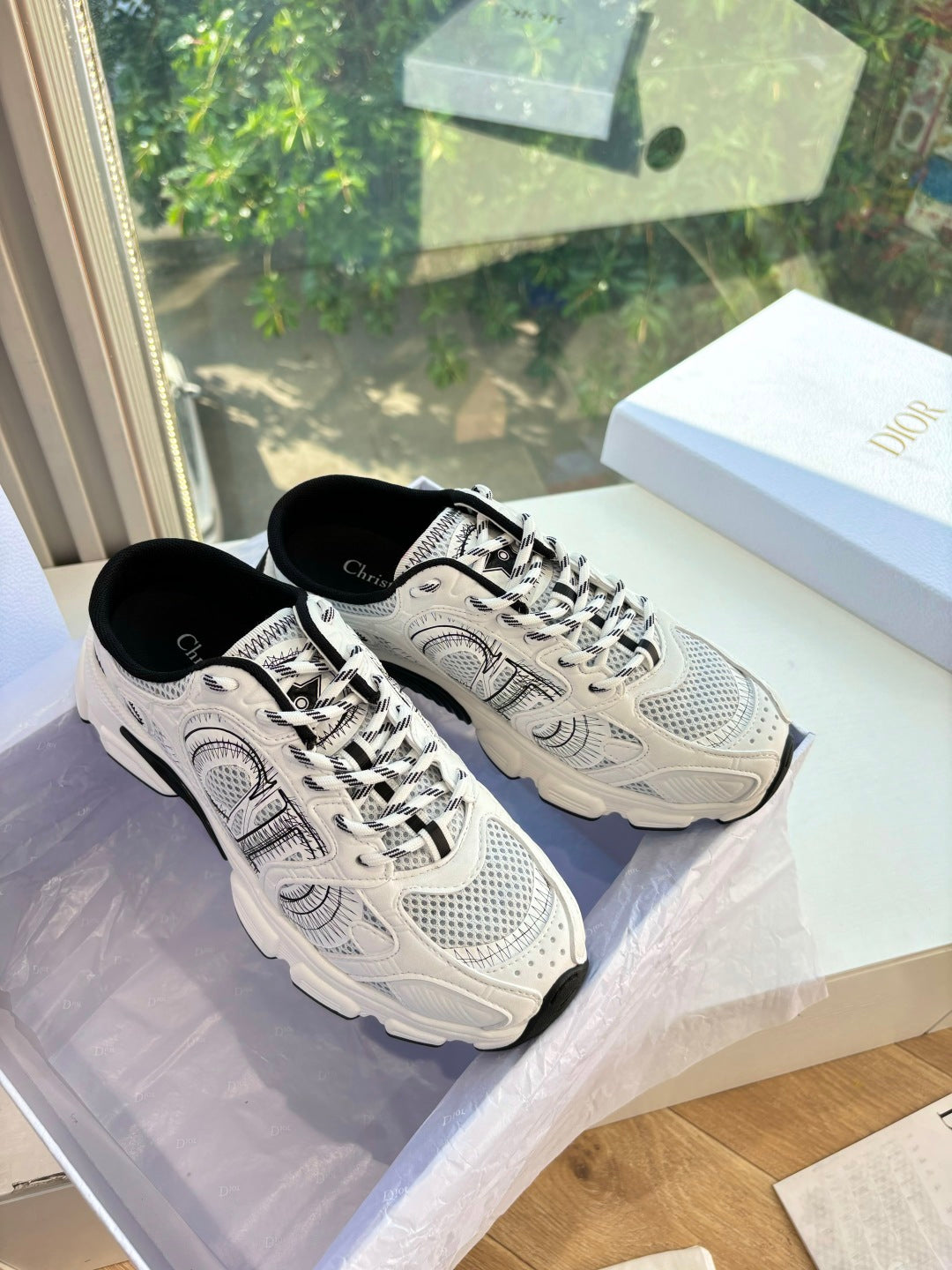 Dior Sneaker