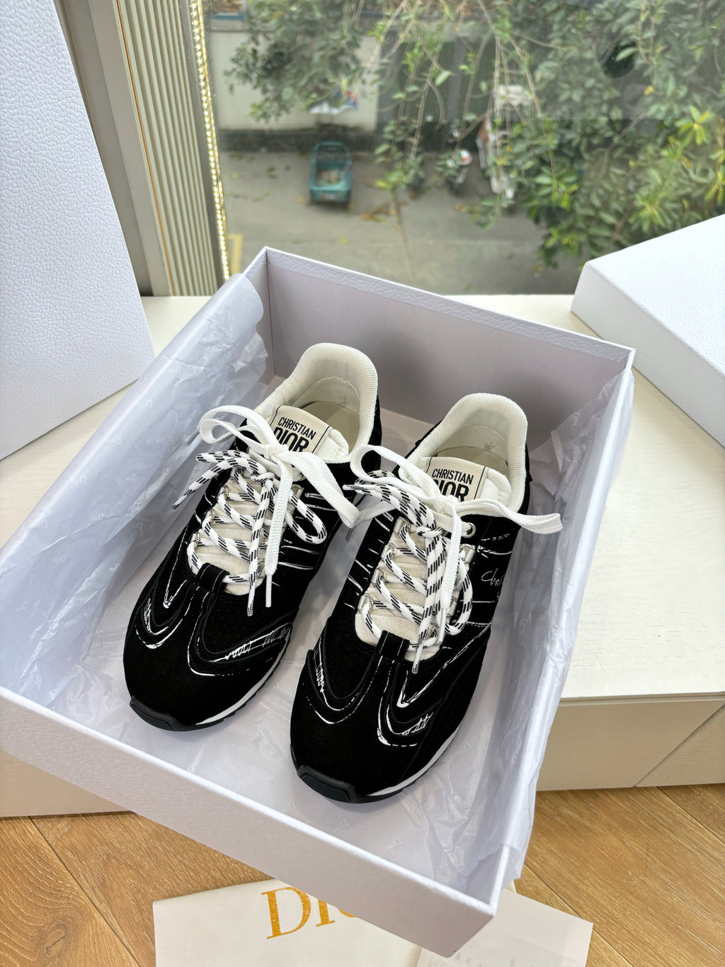 Dior Sneaker