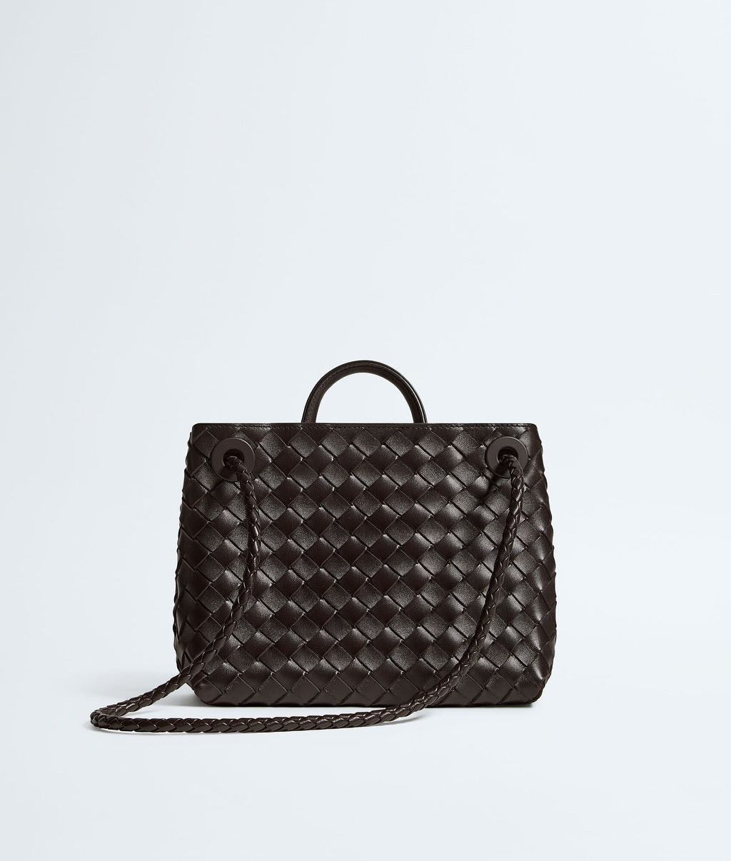 Bottega Veneta Andiamo Small