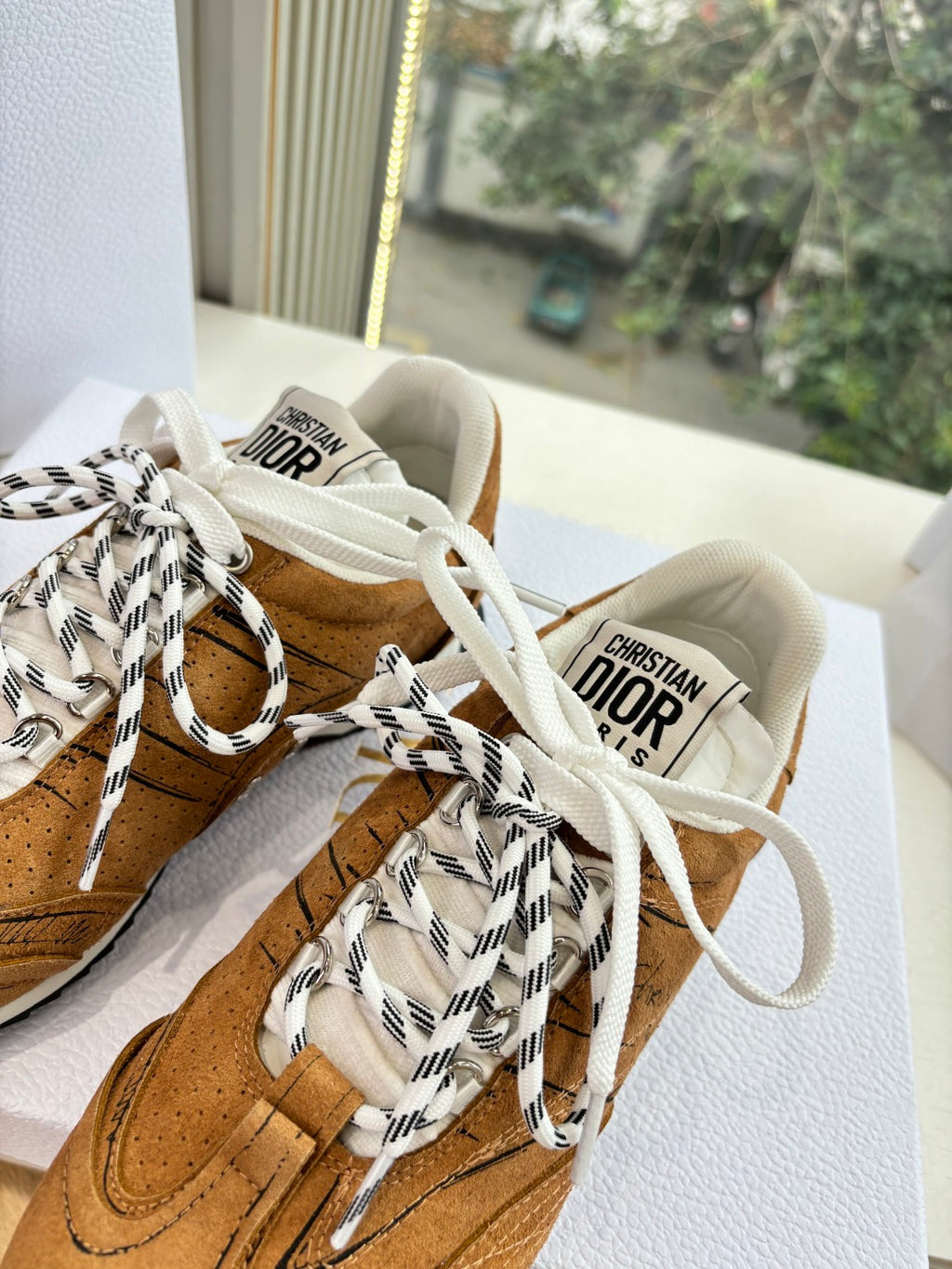 Dior Sneaker